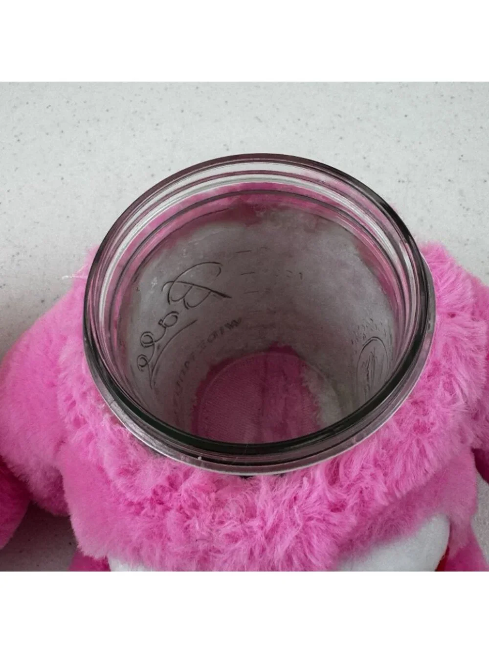 Bear Stash Jar Pink Cheer Bear Plush Hide Valuables Secret Storage